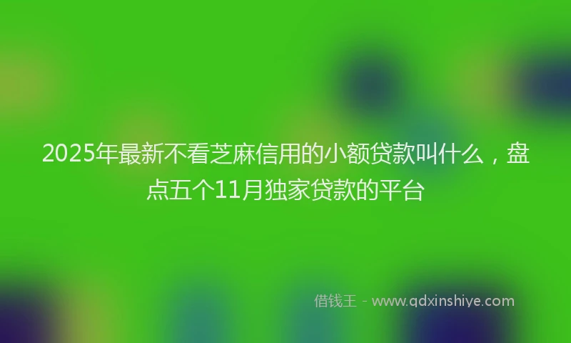 2025年最新不看芝麻信用的小额贷款叫什么，盘点五个11月独家贷款的平台