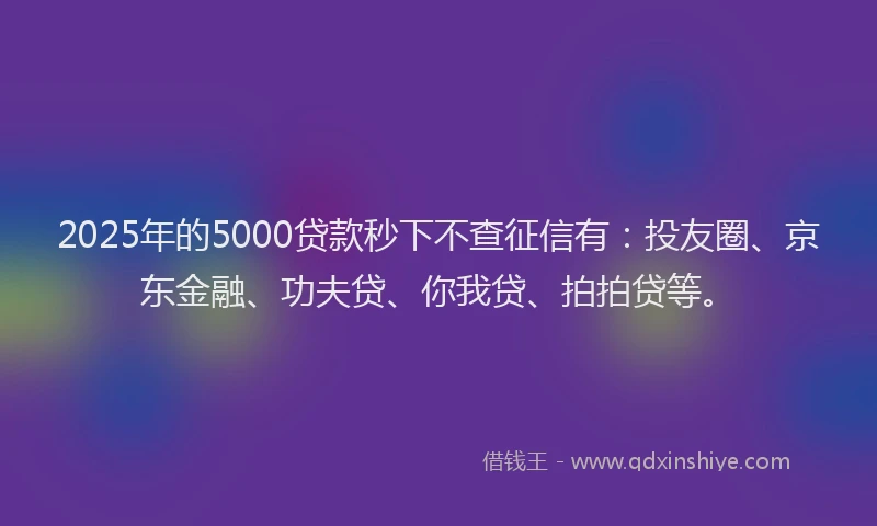 2025年的5000贷款秒下不查征信有：投友圈、京东金融、功夫贷、你我贷、拍拍贷等。