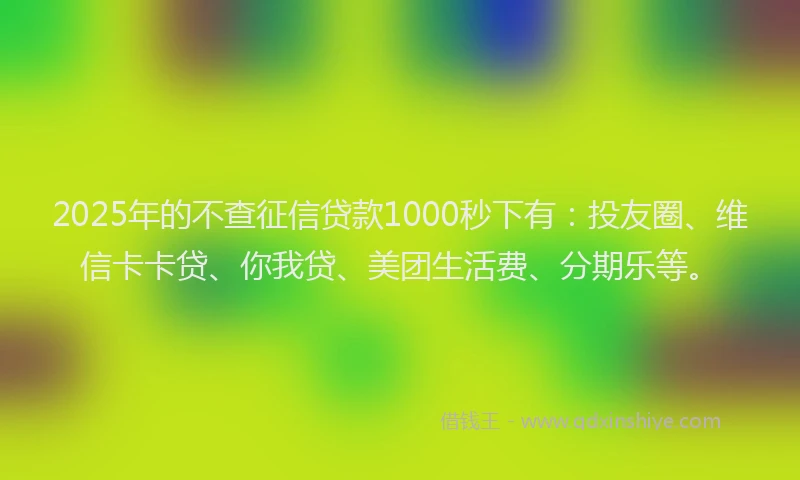 2025年的不查征信贷款1000秒下有：投友圈、维信卡卡贷、你我贷、美团生活费、分期乐等。
