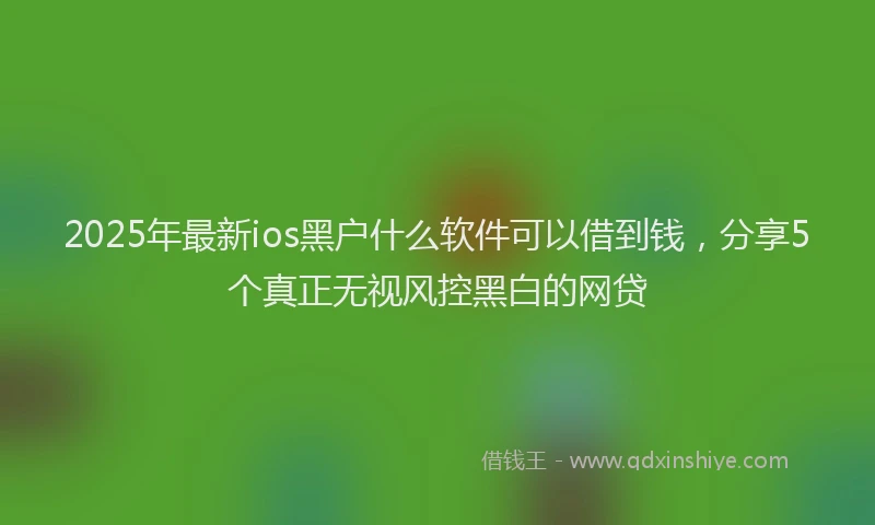 2025年最新ios黑户什么软件可以借到钱，分享5个真正无视风控黑白的网贷