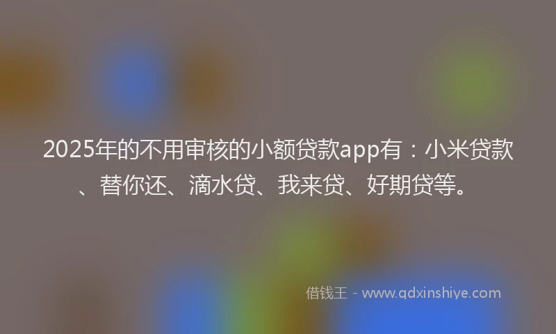 2025年的不用审核的小额贷款app有：小米贷款、替你还、滴水贷、我来贷、好期贷等。