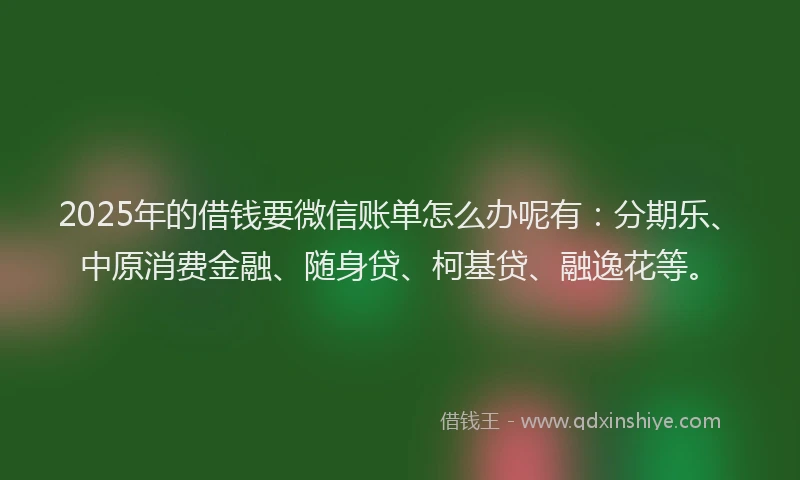 2025年的借钱要微信账单怎么办呢有：分期乐、中原消费金融、随身贷、柯基贷、融逸花等。