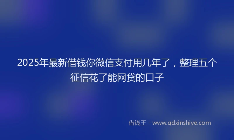 2025年最新借钱你微信支付用几年了，整理五个征信花了能网贷的口子