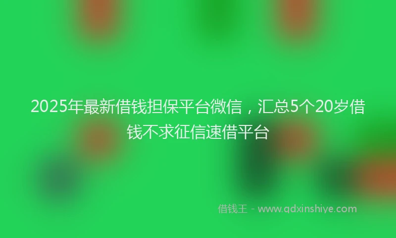 2025年最新借钱担保平台微信，汇总5个20岁借钱不求征信速借平台