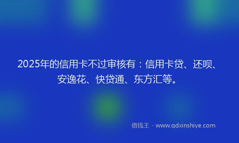 2025年的信用卡不过审核有：信用卡贷、还呗、安逸花、快贷通、东方汇等。
