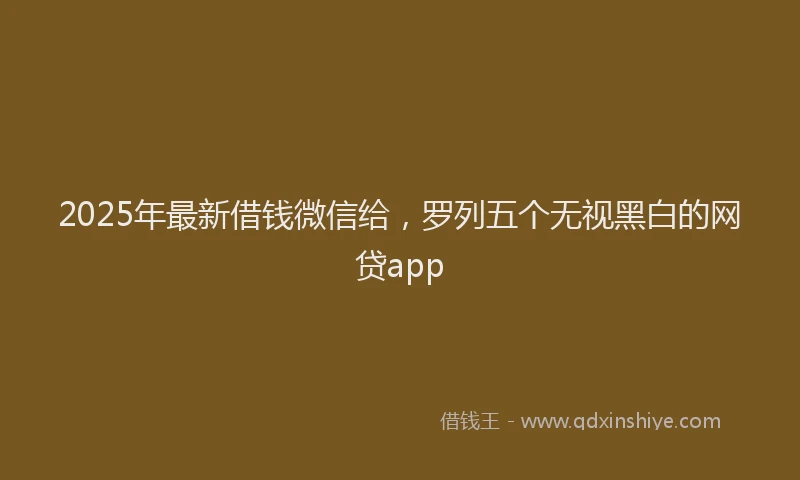 2025年最新借钱微信给，罗列五个无视黑白的网贷app