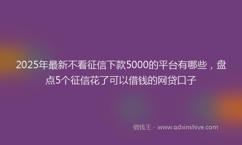 2025年最新不看征信下款5000的平台有哪些，盘点5个征信花了可以借钱的网贷口子