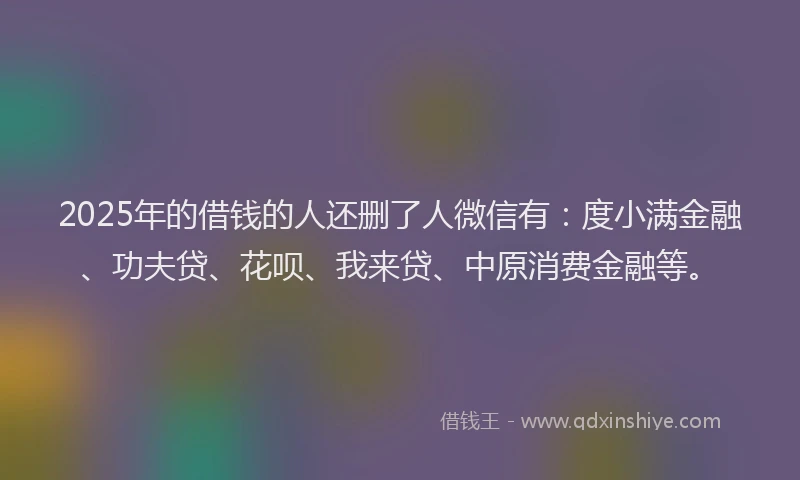 2025年的借钱的人还删了人微信有：度小满金融、功夫贷、花呗、我来贷、中原消费金融等。