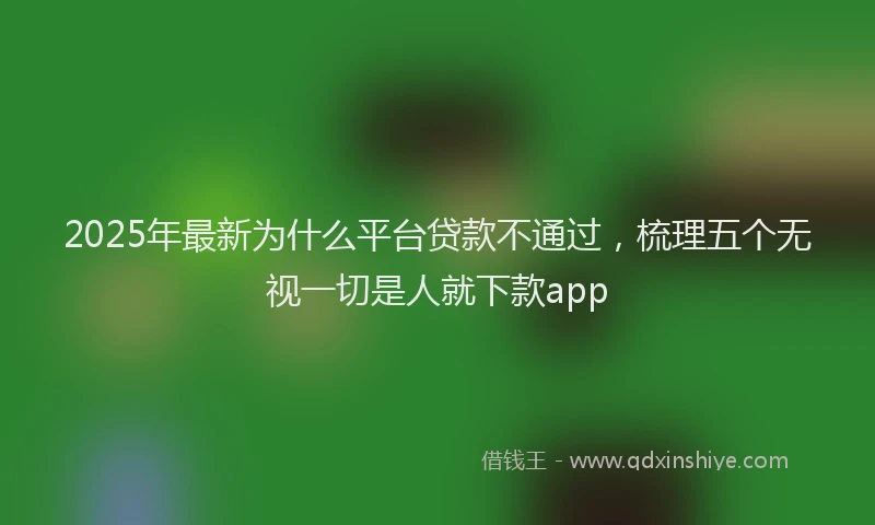2025年最新为什么平台贷款不通过，梳理五个无视一切是人就下款app