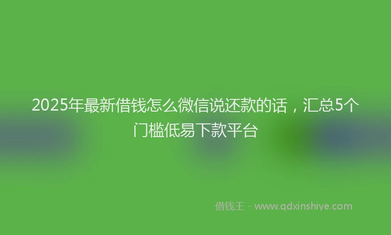 2025年最新借钱怎么微信说还款的话，汇总5个门槛低易下款平台