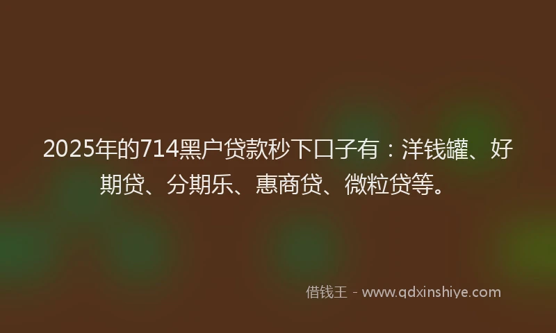 2025年的714黑户贷款秒下口子有：洋钱罐、好期贷、分期乐、惠商贷、微粒贷等。