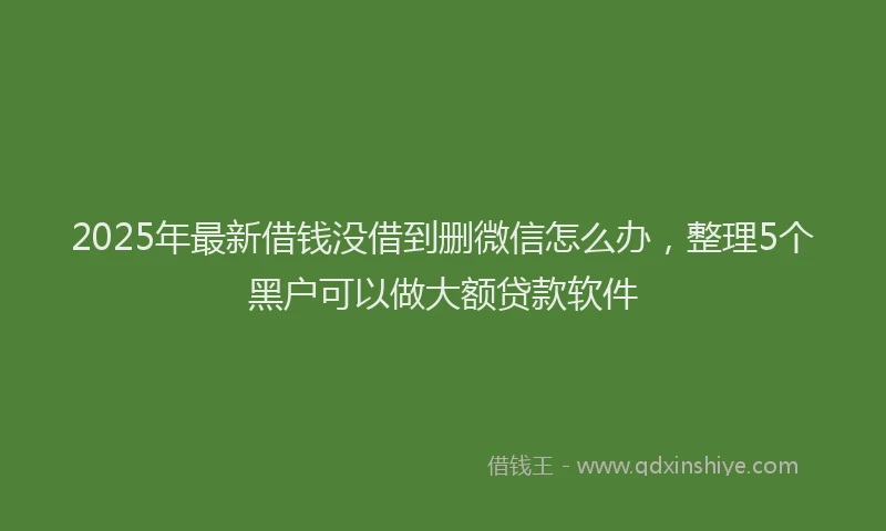 2025年最新借钱没借到删微信怎么办，整理5个黑户可以做大额贷款软件