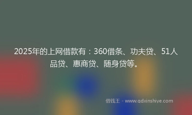 2025年的上网借款有：360借条、功夫贷、51人品贷、惠商贷、随身贷等。