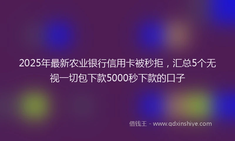 2025年最新农业银行信用卡被秒拒，汇总5个无视一切包下款5000秒下款的口子