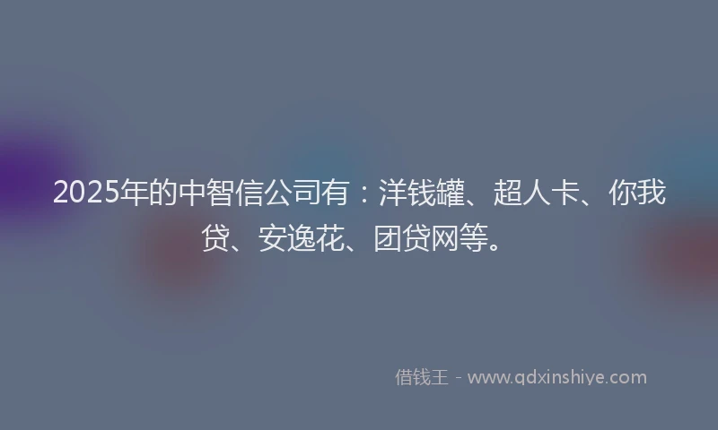 2025年的中智信公司有：洋钱罐、超人卡、你我贷、安逸花、团贷网等。