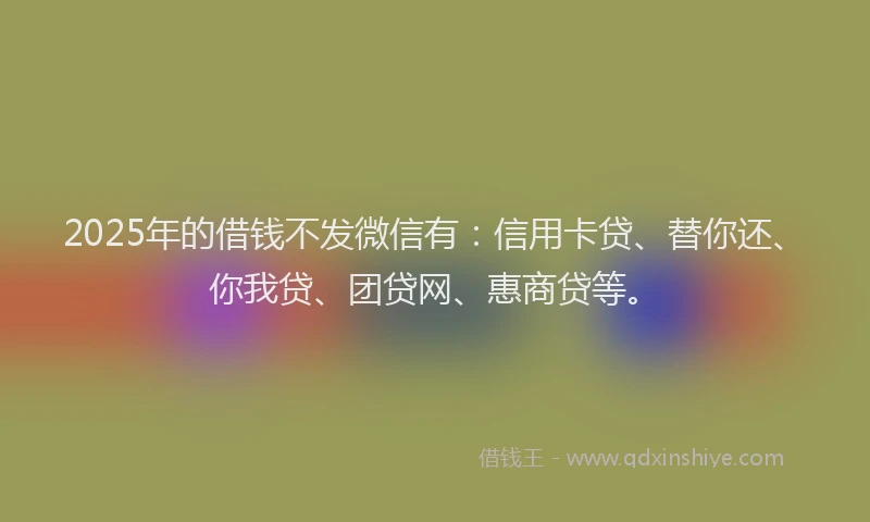 2025年的借钱不发微信有：信用卡贷、替你还、你我贷、团贷网、惠商贷等。
