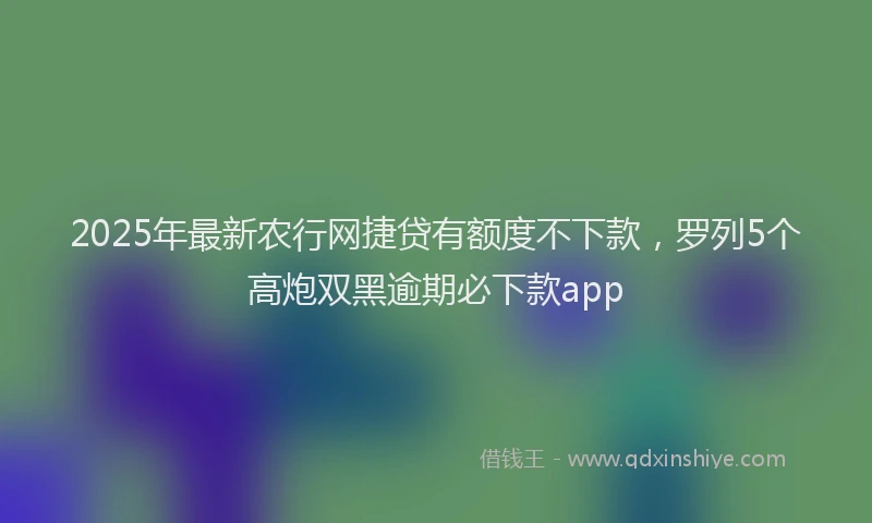 2025年最新农行网捷贷有额度不下款，罗列5个高炮双黑逾期必下款app