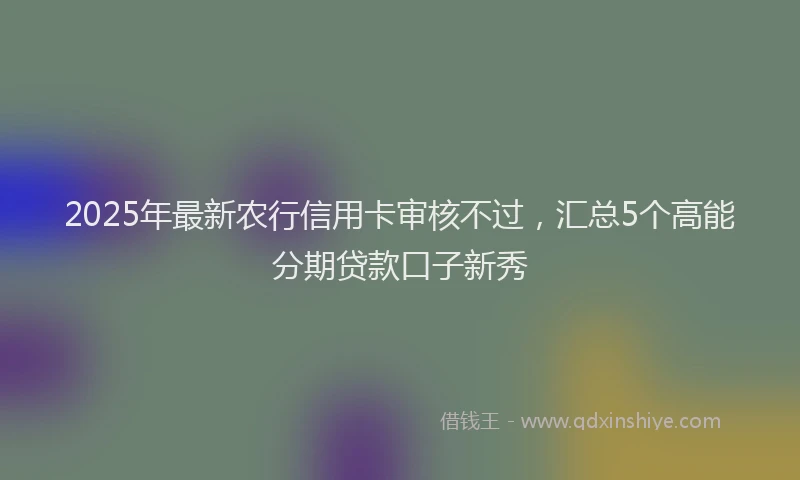 2025年最新农行信用卡审核不过，汇总5个高能分期贷款口子新秀