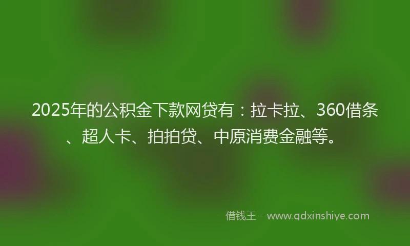 2025年的公积金下款网贷有：拉卡拉、360借条、超人卡、拍拍贷、中原消费金融等。