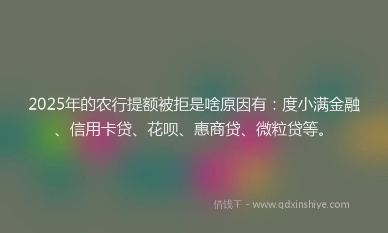 2025年的农行提额被拒是啥原因有：度小满金融、信用卡贷、花呗、惠商贷、微粒贷等。