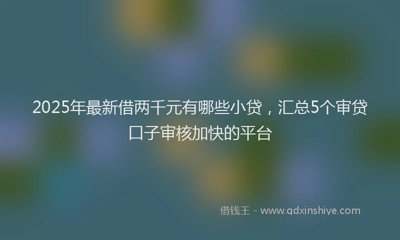 2025年最新借两千元有哪些小贷，汇总5个审贷口子审核加快的平台