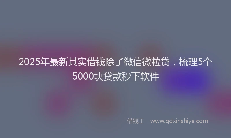 2025年最新其实借钱除了微信微粒贷，梳理5个5000块贷款秒下软件
