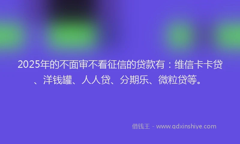 2025年的不面审不看征信的贷款有：维信卡卡贷、洋钱罐、人人贷、分期乐、微粒贷等。