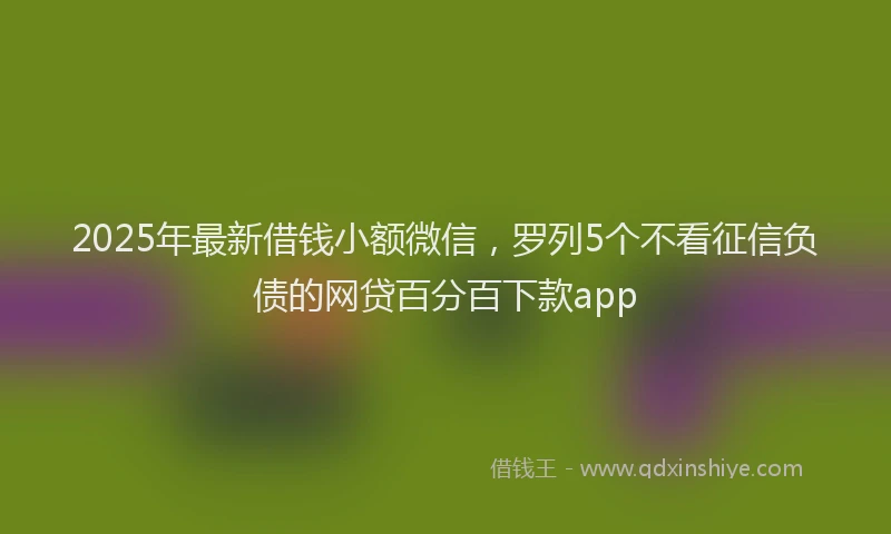 2025年最新借钱小额微信，罗列5个不看征信负债的网贷百分百下款app