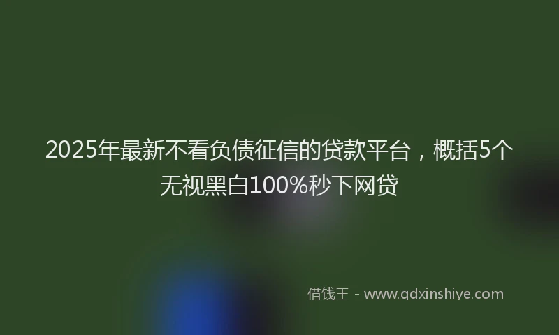 2025年最新不看负债征信的贷款平台，概括5个无视黑白100%秒下网贷
