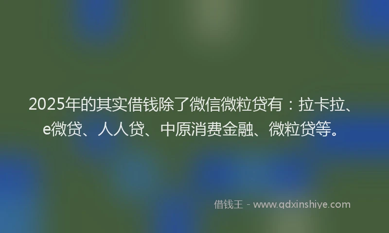 2025年的其实借钱除了微信微粒贷有：拉卡拉、e微贷、人人贷、中原消费金融、微粒贷等。