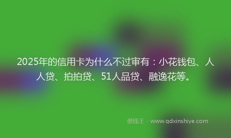 2025年的信用卡为什么不过审有：小花钱包、人人贷、拍拍贷、51人品贷、融逸花等。