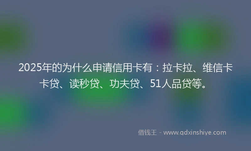2025年的为什么申请信用卡有：拉卡拉、维信卡卡贷、读秒贷、功夫贷、51人品贷等。