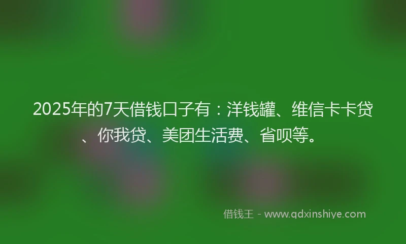 2025年的7天借钱口子有：洋钱罐、维信卡卡贷、你我贷、美团生活费、省呗等。