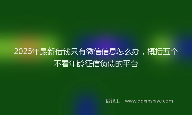 2025年最新借钱只有微信信息怎么办，概括五个不看年龄征信负债的平台