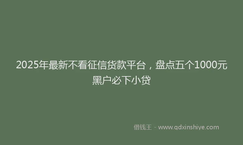 2025年最新不看征信货款平台，盘点五个1000元黑户必下小贷