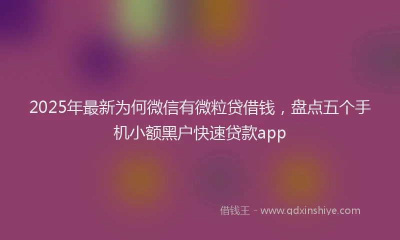 2025年最新为何微信有微粒贷借钱，盘点五个手机小额黑户快速贷款app
