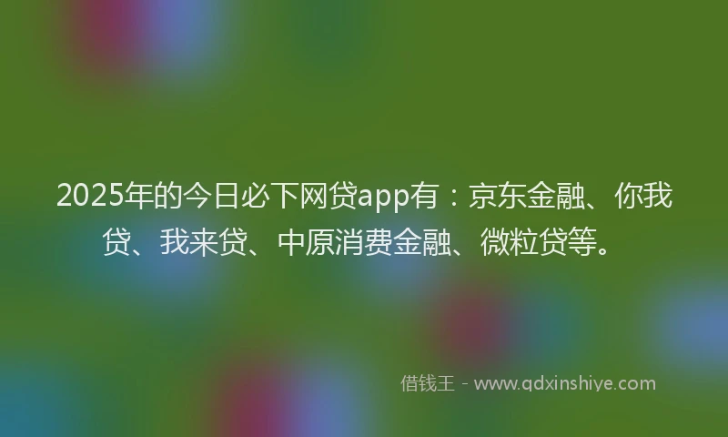 2025年的今日必下网贷app有：京东金融、你我贷、我来贷、中原消费金融、微粒贷等。