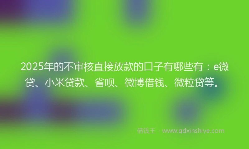 2025年的不审核直接放款的口子有哪些有：e微贷、小米贷款、省呗、微博借钱、微粒贷等。