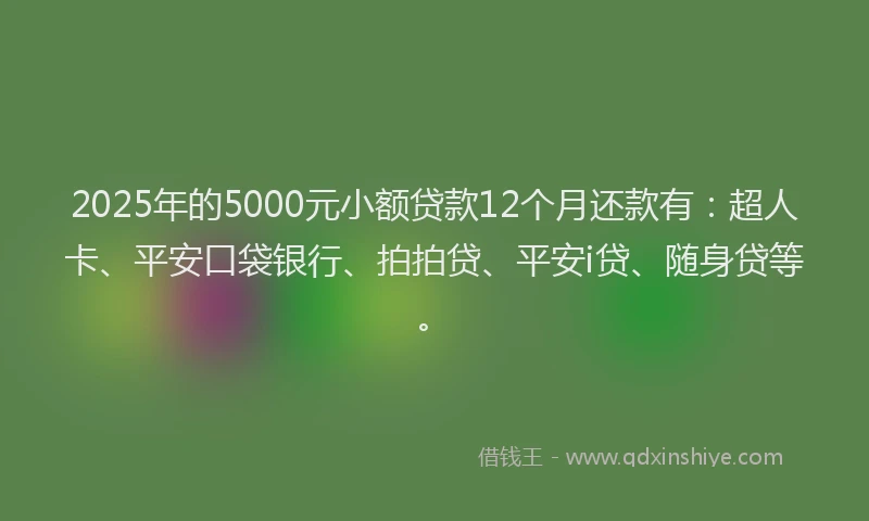 2025年的5000元小额贷款12个月还款有：超人卡、平安口袋银行、拍拍贷、平安i贷、随身贷等。