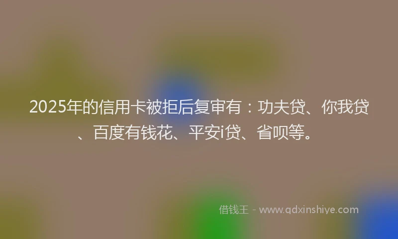 2025年的信用卡被拒后复审有：功夫贷、你我贷、百度有钱花、平安i贷、省呗等。