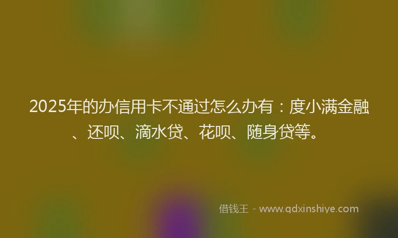2025年的办信用卡不通过怎么办有：度小满金融、还呗、滴水贷、花呗、随身贷等。