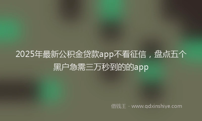 2025年最新公积金贷款app不看征信，盘点五个黑户急需三万秒到的的app