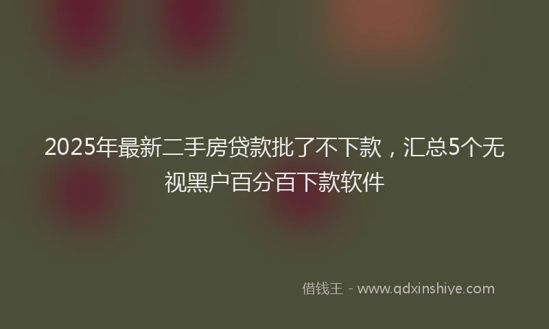 2025年最新二手房贷款批了不下款，汇总5个无视黑户百分百下款软件