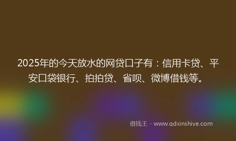 2025年的今天放水的网贷口子有：信用卡贷、平安口袋银行、拍拍贷、省呗、微博借钱等。
