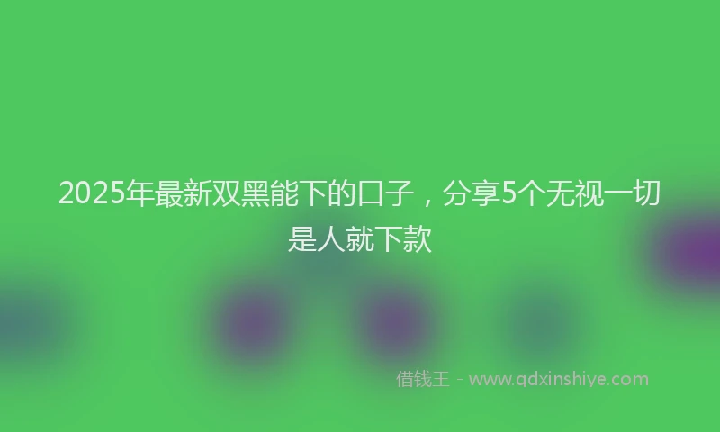2025年最新双黑能下的口子，分享5个无视一切是人就下款