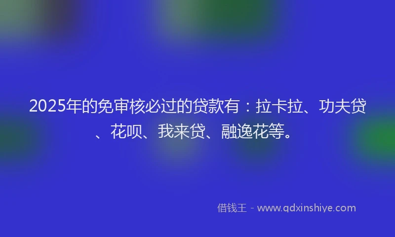2025年的免审核必过的贷款有：拉卡拉、功夫贷、花呗、我来贷、融逸花等。