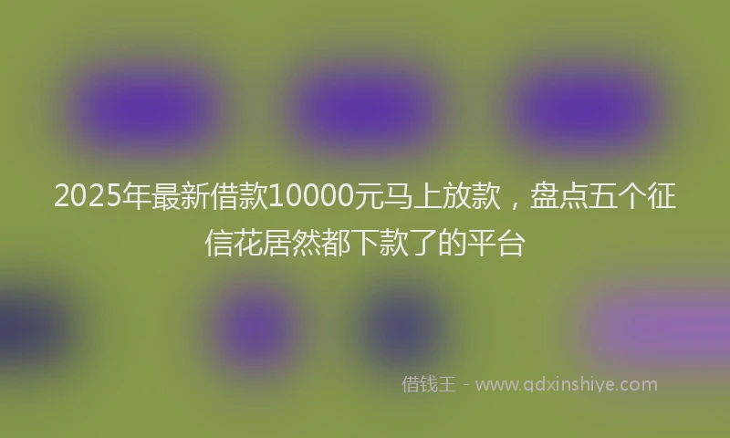 2025年最新借款10000元马上放款，盘点五个征信花居然都下款了的平台