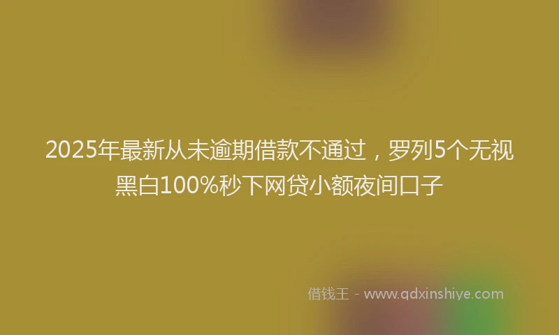 2025年最新从未逾期借款不通过，罗列5个无视黑白100%秒下网贷小额夜间口子