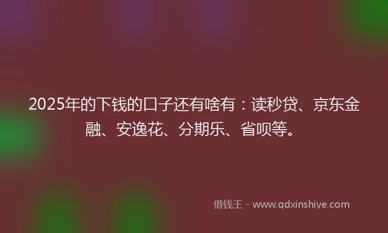 2025年的下钱的口子还有啥有：读秒贷、京东金融、安逸花、分期乐、省呗等。