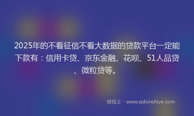 2025年的不看征信不看大数据的贷款平台一定能下款有：信用卡贷、京东金融、花呗、51人品贷、微粒贷等。